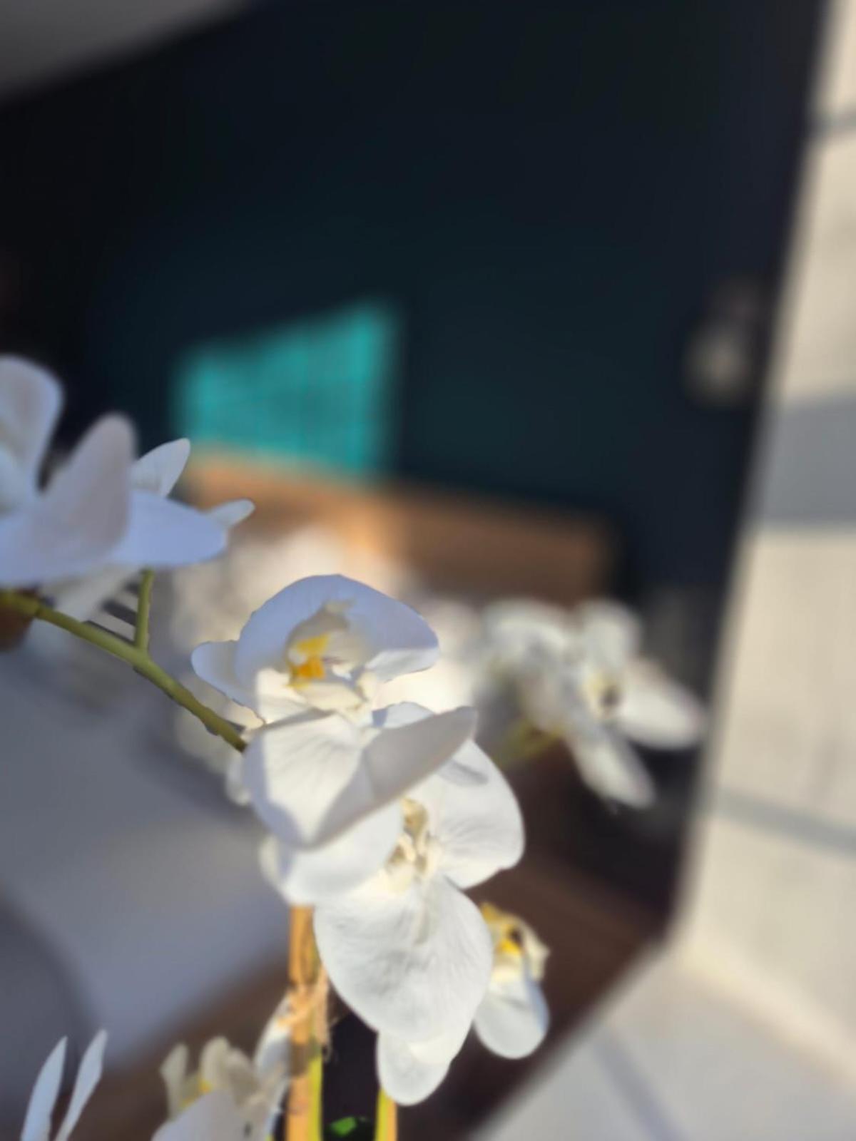 Quarrie House Aparthotel แครมลิงตัน ภายนอก รูปภาพ